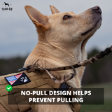 NEW Upgraded Tactical No-Pull Dog Harness with 4 Quick-Release Metal Buckles, Reinforced Front & Back D-Rings, Hook & Loop Panels, Adjustable Straps, Reflective Strips, & Top Handle